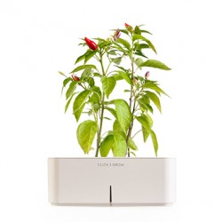 CLICK E GROW STARTER KIT PEPERONCINO