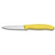 VICTORINOX SPELUCCHINO CLASSIC GIALLO