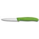 VICTORINOX SPELUCCHINO CLASSIC VERDE