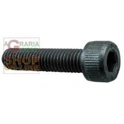 VITE A BRUGOLA 8.8 TC ESAGONO INCASSATO MM. 4 X 25