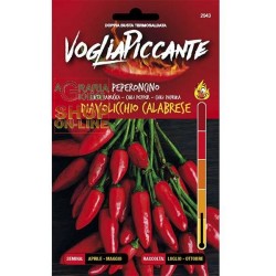 VOGLIA PICCANTE SEMI DI PEPERONCINO PICCANTE DIAVOLICCHIO CALABRESE