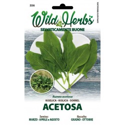 WILD HERBS SEMI DI ACETOSA