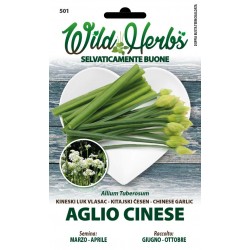 WILD HERBS SEMI DI AGLIO CINESE