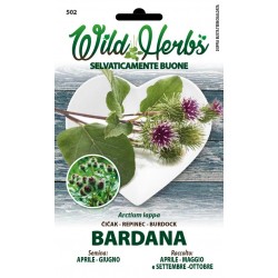 WILD HERBS SEMI DI BARDANA