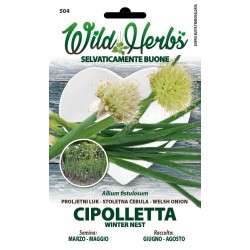 WILD HERBS SEMI DI CIPOLLETTA