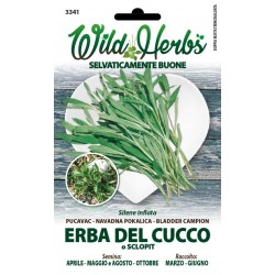 WILD HERBS SEMI DI ERBA DEL CUCCO O SCLOPIT