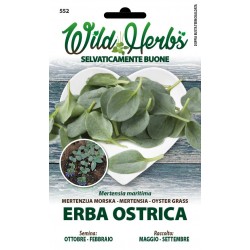 WILD HERBS SEMI DI ERBA OSTRICA