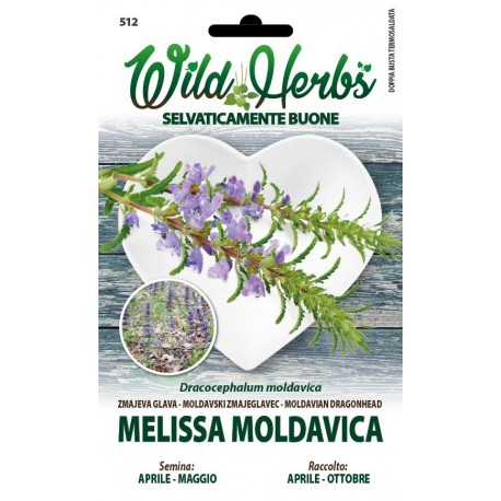 WILD HERBS SEMI DI MELISSA MOLDAVICA