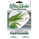 WILD HERBS SEMI DI PIANTAGGINE