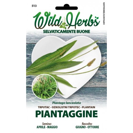 WILD HERBS SEMI DI PIANTAGGINE