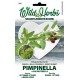 WILD HERBS SEMI DI PIMPINELLA