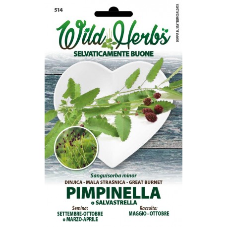 WILD HERBS SEMI DI PIMPINELLA