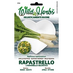 WILD HERBS SEMI DI RAPASTRELLO O RAVANELLO SELVATICO