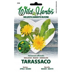 WILD HERBS SEMI DI TARASSICO