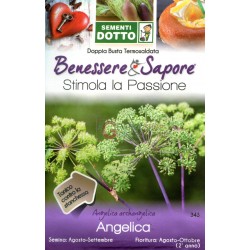 DOTTO BUSTE SEMI DI ANGELICA