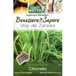 DOTTO BUSTE SEMI DI CITRONELLA