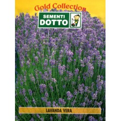 DOTTO BUSTE SEMI DI LAVANDA VERA