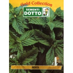 DOTTO BUSTE SEMI DI MENTA