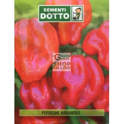 DOTTO BUSTE SEMI DI PEPERONCINO HABANERO