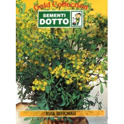 DOTTO BUSTE SEMI DI RUTA OFFICINALE