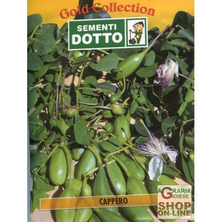 DOTTO SEMI DI CAPPERO