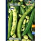 FAVA GR. 500 SUPERAGUADULCE ROYAL SEED