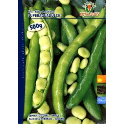 FAVA GR. 500 SUPERAGUADULCE ROYAL SEED