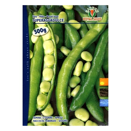 FAVA GR. 500 SUPERAGUADULCE ROYAL SEED