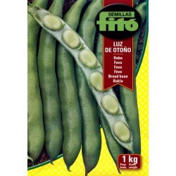 FAVA KG. 1 FITO LUZ DE OTONO