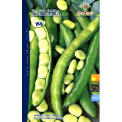 FAVA KG. 5 SUPERAGUADULCE