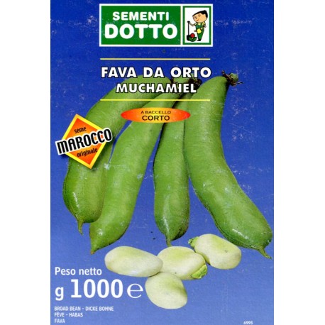 FAVA MUCHAMIEL TRE COCCI VARIETA CALABRESE GR. 500