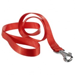 FERPLAST GUINZAGLIO PER CANI CLUB G10-110 COLORE ARANCIO