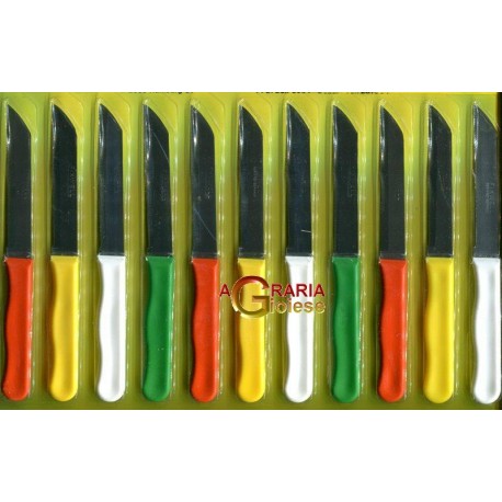 FIXWEL SET 12 PZ. SPELUCCHINI COLORATI