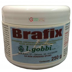 GOBBI BRAFIX MASTICE PER INNESTO CICATRIZZANTE PROTETTIVO GR. 250