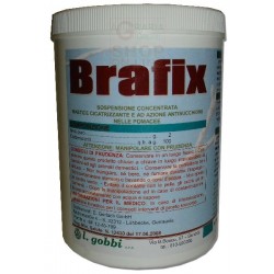 GOBBI BRAFIX MASTICE PER INNESTO CICATRIZZANTE PROTETTIVO KG. 1